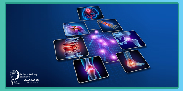 زمینه کاری مغز و اعصاب